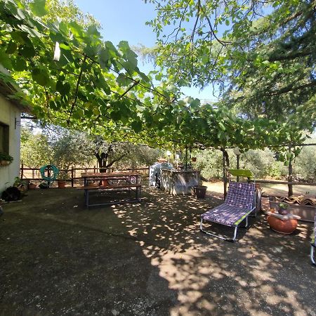 Villa La Casa Di Giulia Bronte Esterno foto