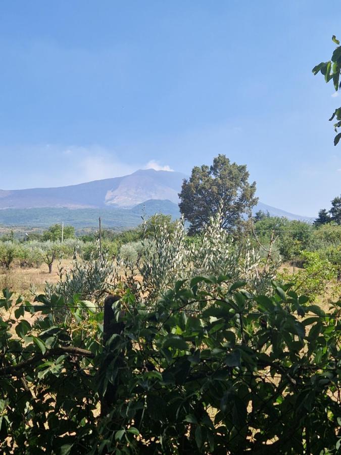 Villa La Casa Di Giulia Bronte Esterno foto