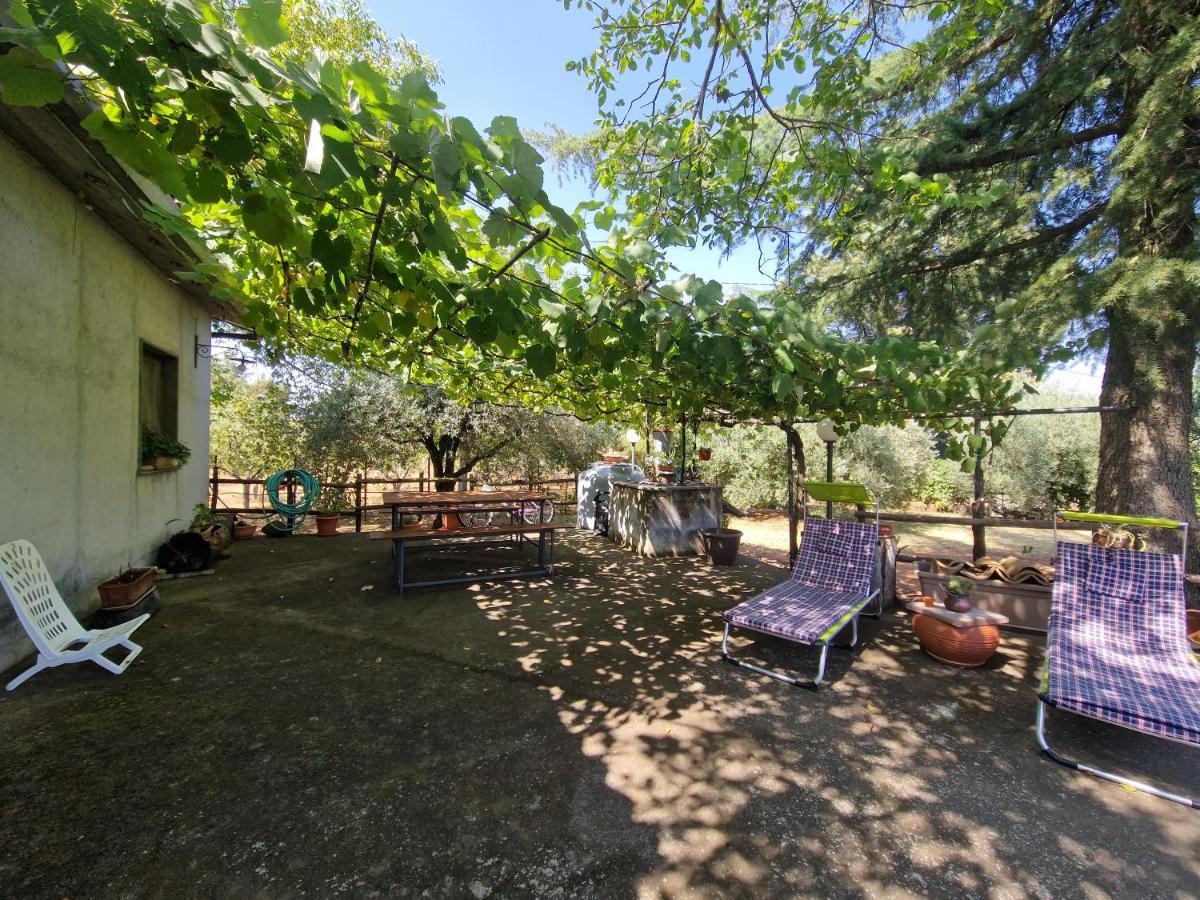 Villa La Casa Di Giulia Bronte Esterno foto