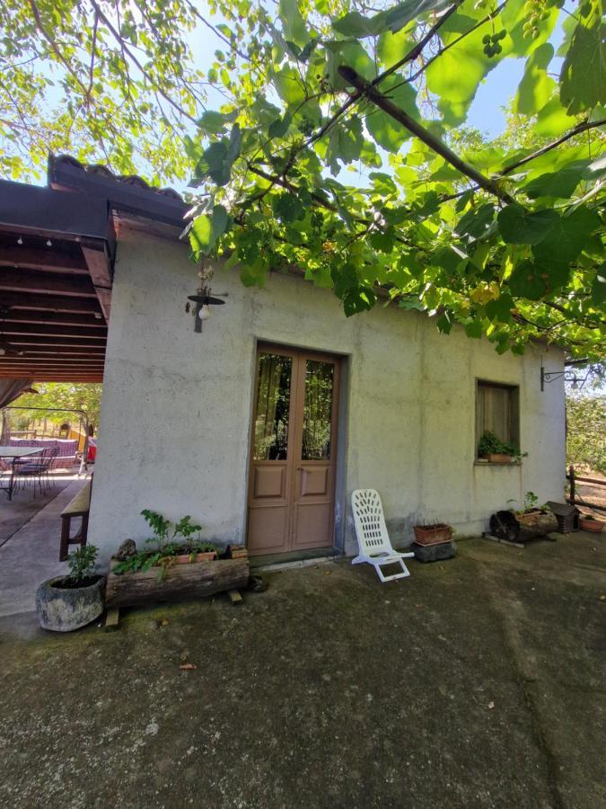 Villa La Casa Di Giulia Bronte Esterno foto